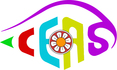 system Logo